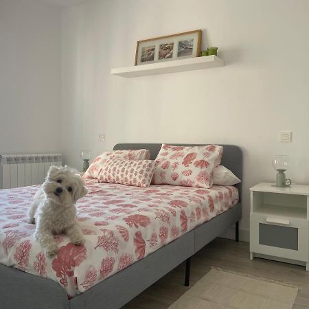 Plata 2 Apartment ซามอรา ภายนอก รูปภาพ